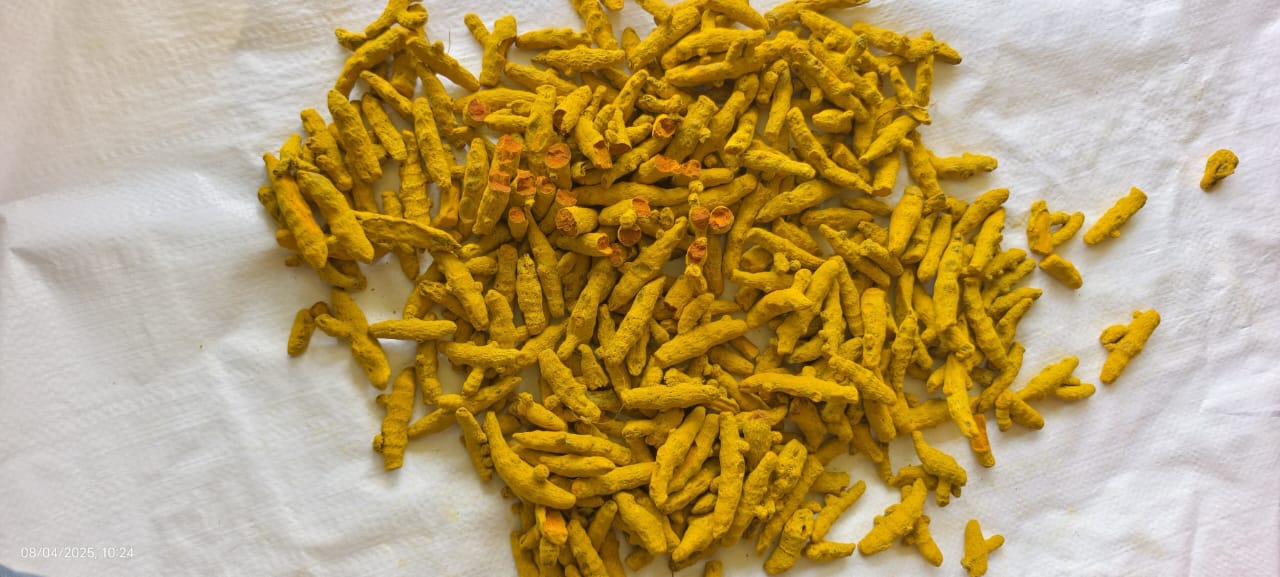 Premium Turmeric Powder